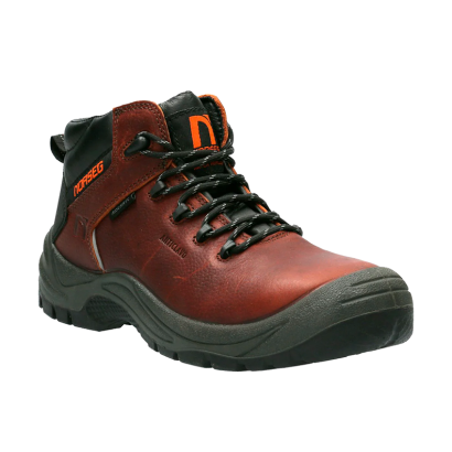 BOTIN NORSEG NS 581 BRONCO