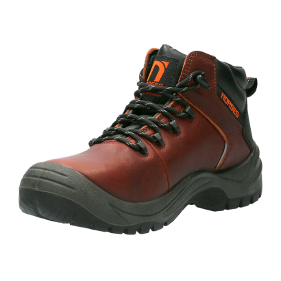 BOTIN NORSEG NS 581 BRONCO