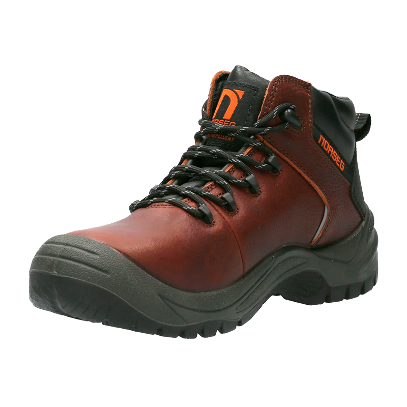 BOTIN NORSEG NS 581 BRONCO